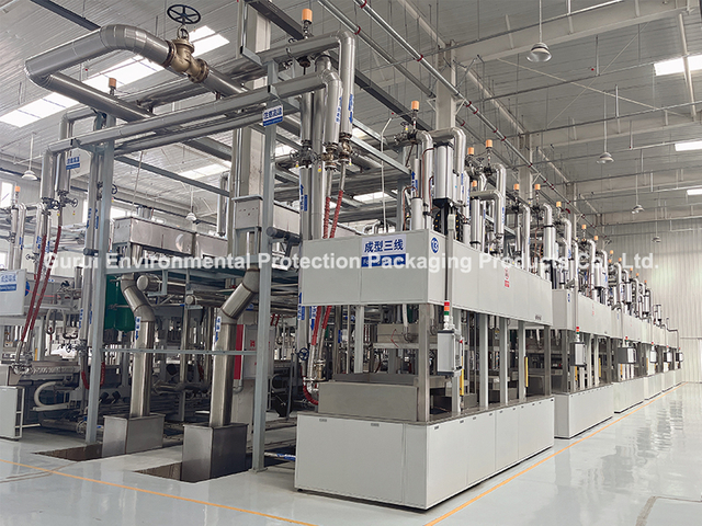 Eldobható ebédlődobozgyár